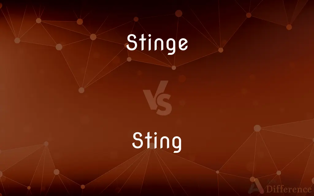 Stinge vs. Sting — What's the Difference?