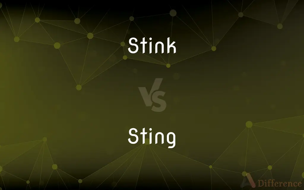 Stink vs. Sting — What's the Difference?
