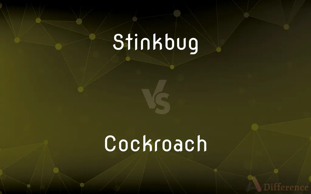 Stinkbug vs. Cockroach — What's the Difference?