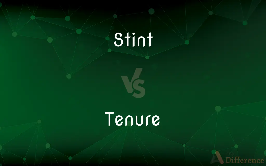 Stint vs. Tenure — What's the Difference?