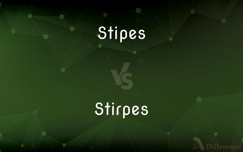 Stipes vs. Stirpes — What's the Difference?