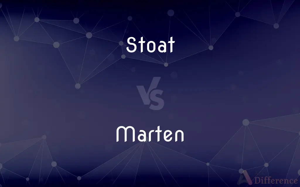 Stoat vs. Marten — What's the Difference?