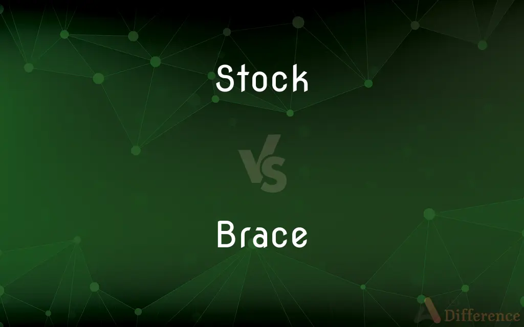 Stock vs. Brace — What's the Difference?