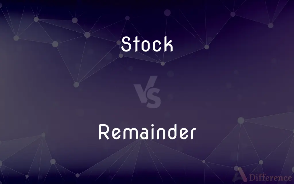 Stock vs. Remainder — What's the Difference?