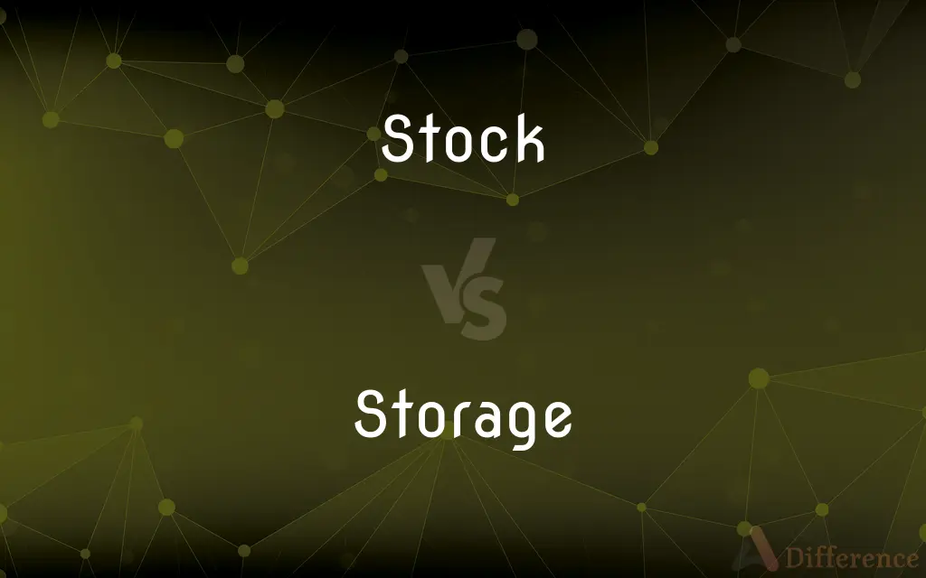 Stock vs. Storage — What's the Difference?