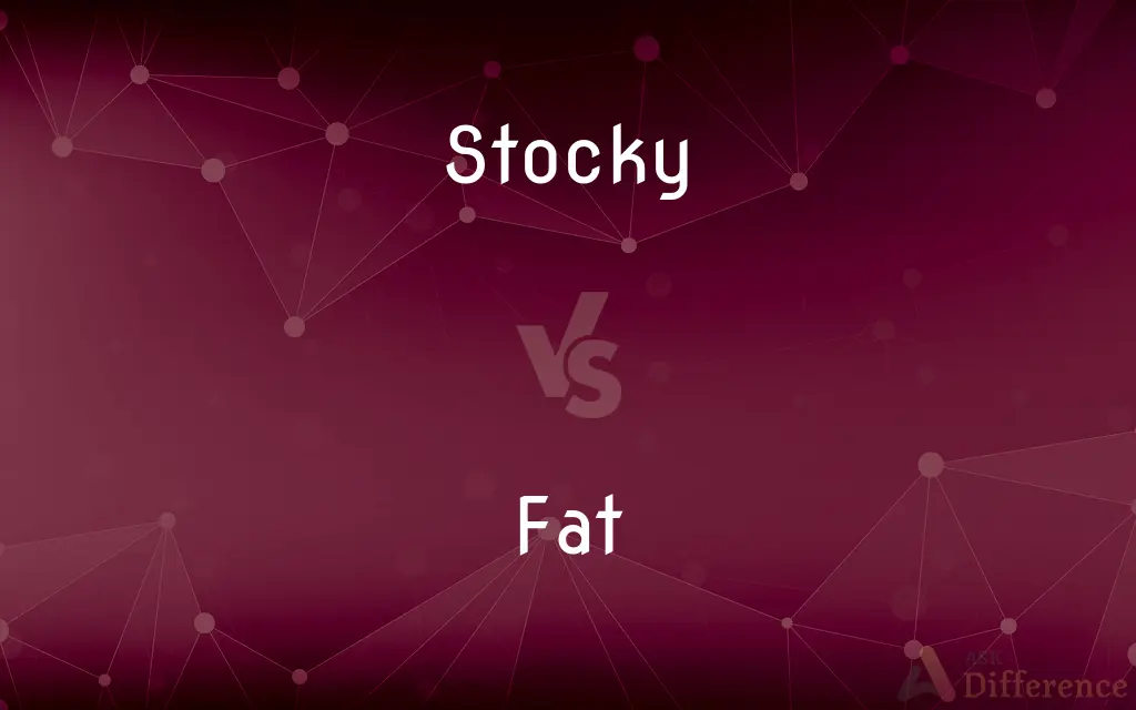 Stocky vs. Fat — What's the Difference?