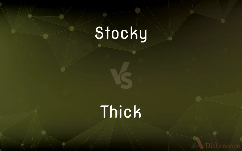 Stocky vs. Thick — What's the Difference?