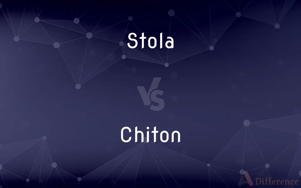 Stola vs. Chiton — What's the Difference?