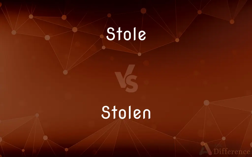 Stole vs. Stolen — What's the Difference?