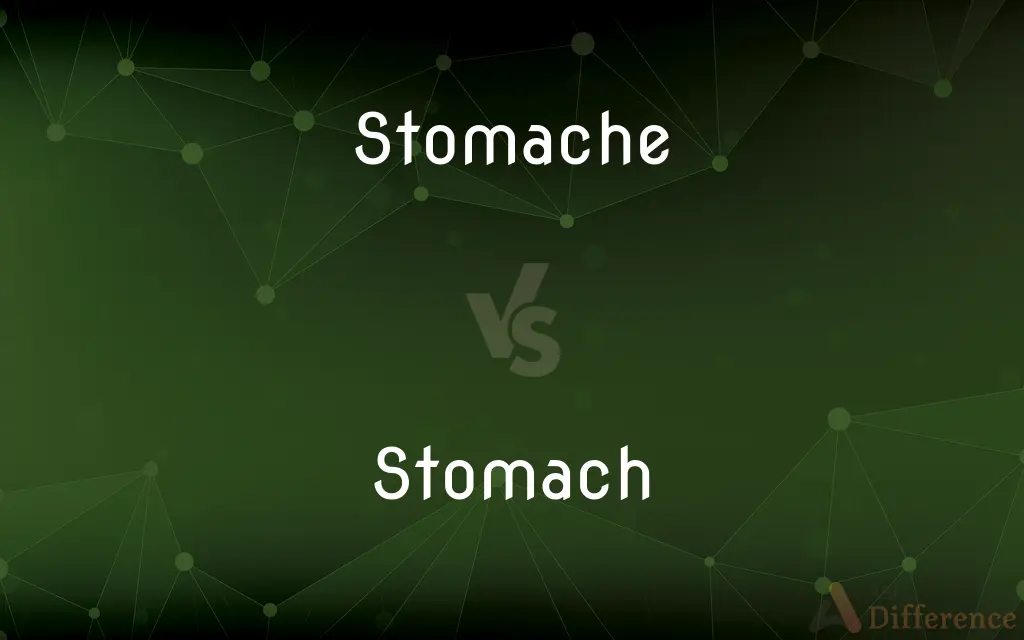 Stomache vs. Stomach — Which is Correct Spelling?