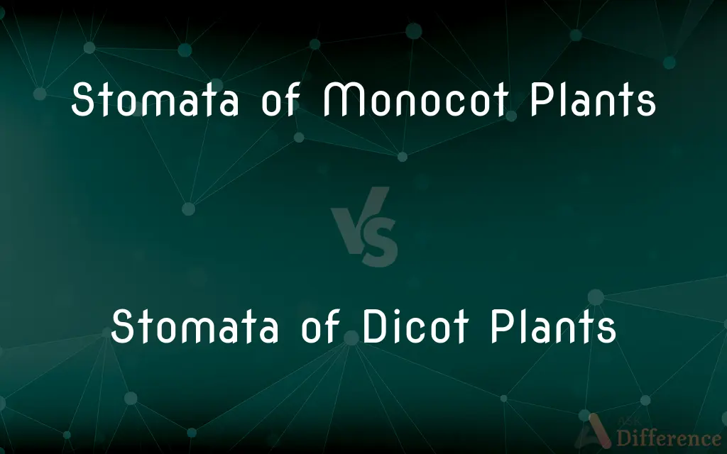 Stomata of Monocot Plants vs. Stomata of Dicot Plants — What's the Difference?