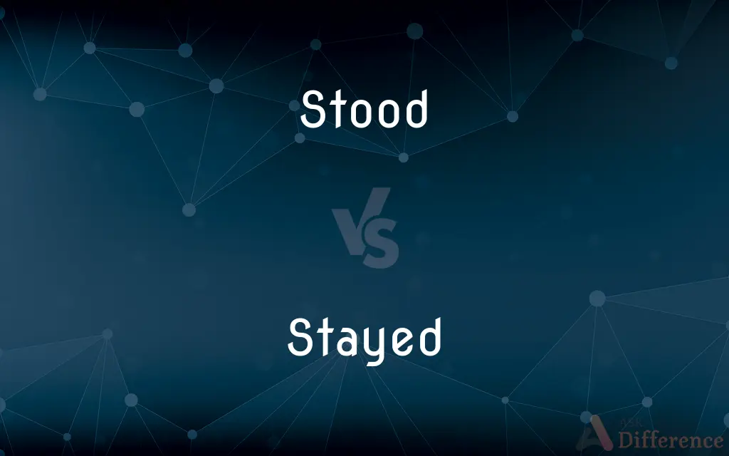 Stood vs. Stayed — What's the Difference?