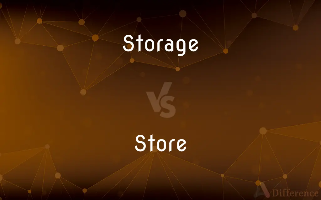 Storage vs. Store — What's the Difference?