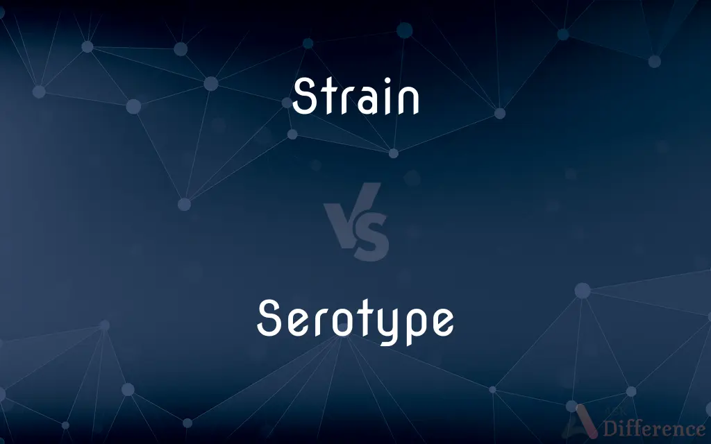 Strain vs. Serotype — What's the Difference?