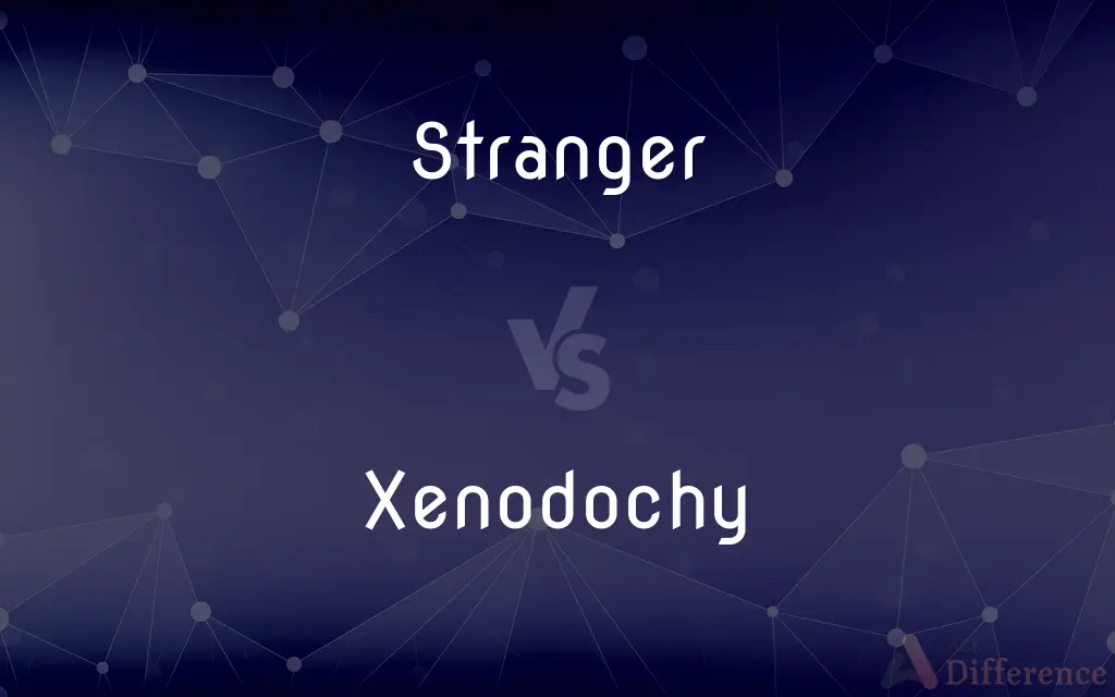 Stranger vs. Xenodochy — What's the Difference?