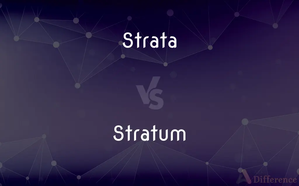 Strata vs. Stratum — What's the Difference?