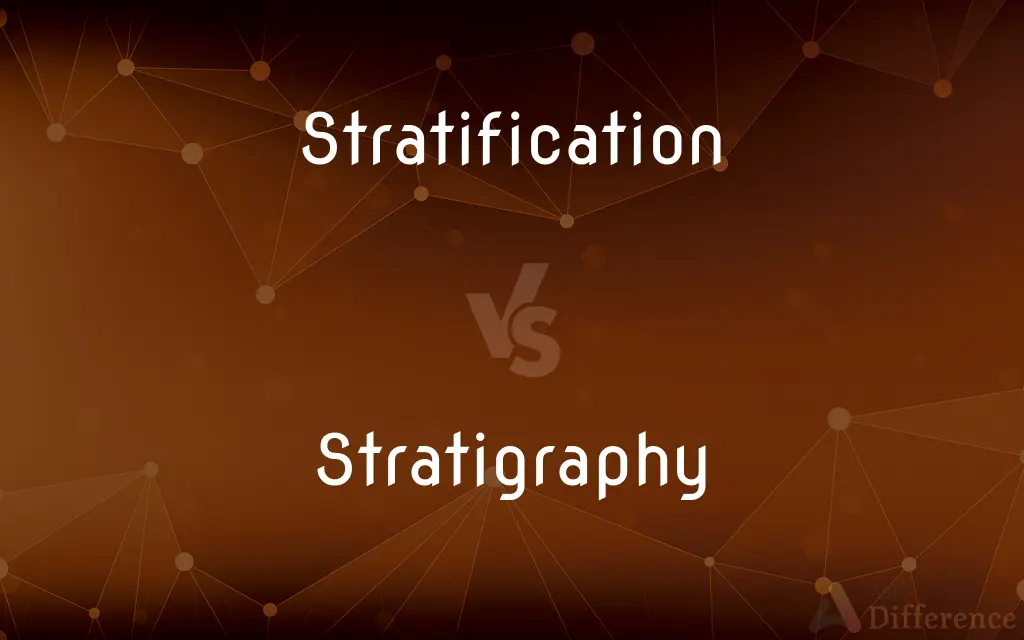 Stratification vs. Stratigraphy — What's the Difference?