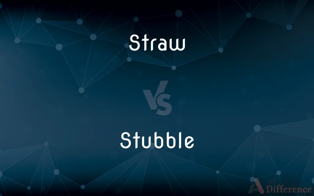 Straw vs. Stubble — What's the Difference?
