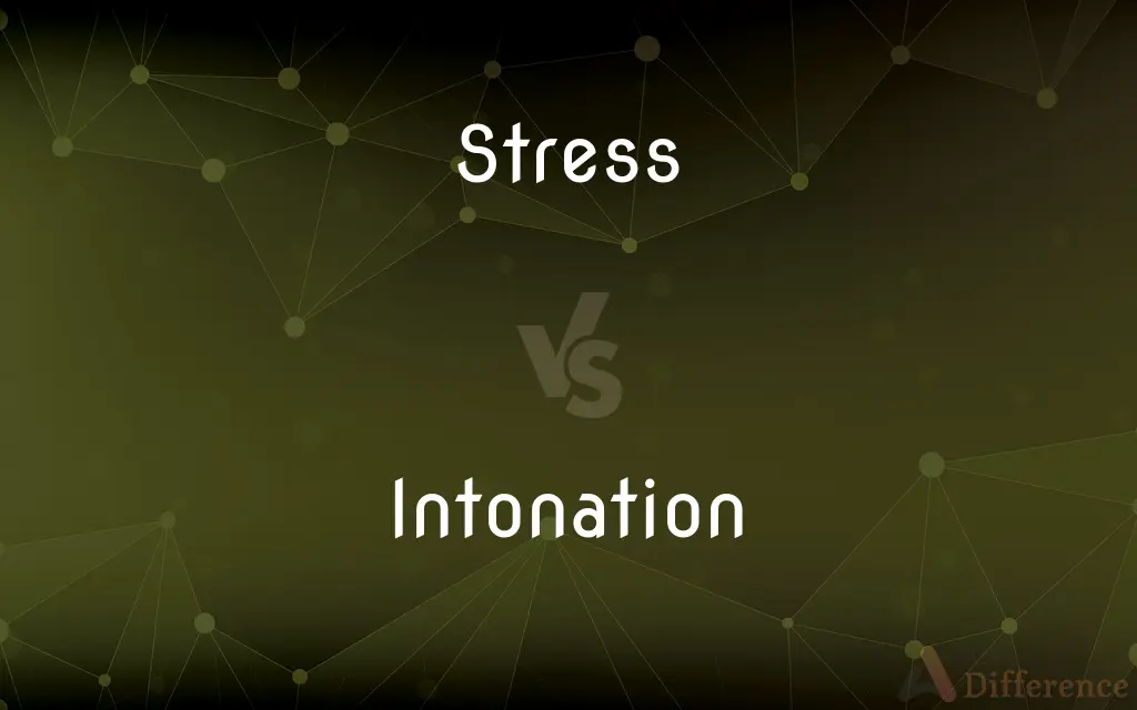 Stress vs. Intonation — What's the Difference?