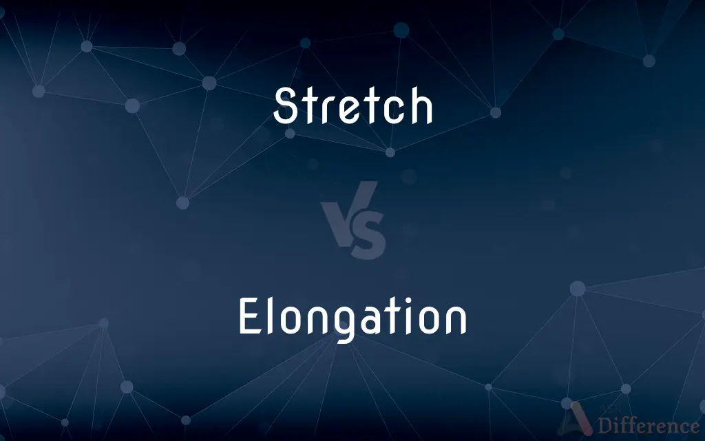 Stretch vs. Elongation — What's the Difference?