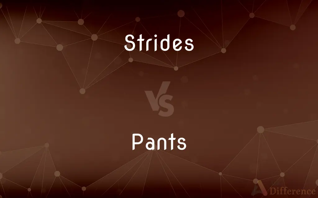 Strides vs. Pants — What's the Difference?