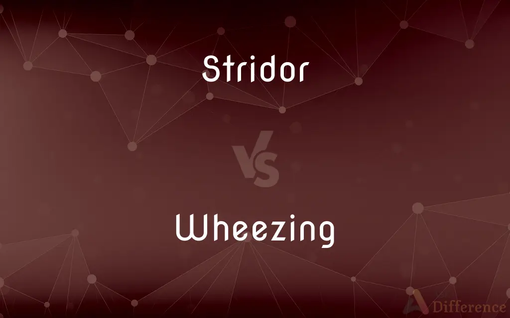 Stridor vs. Wheezing — What's the Difference?