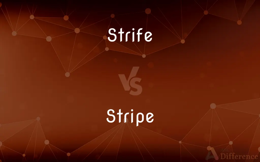 Strife vs. Stripe — What's the Difference?