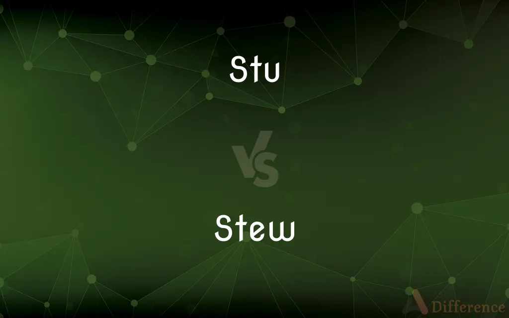 Stu vs. Stew — What's the Difference?