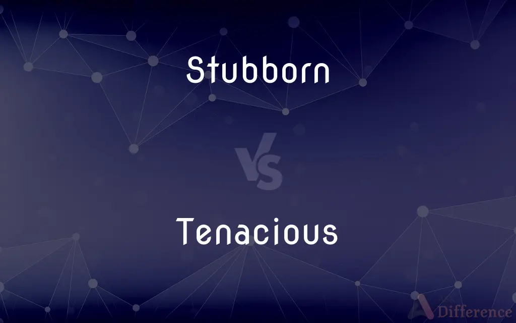 Stubborn vs. Tenacious — What's the Difference?