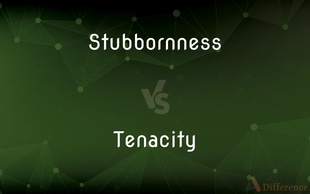 Stubbornness vs. Tenacity — What's the Difference?