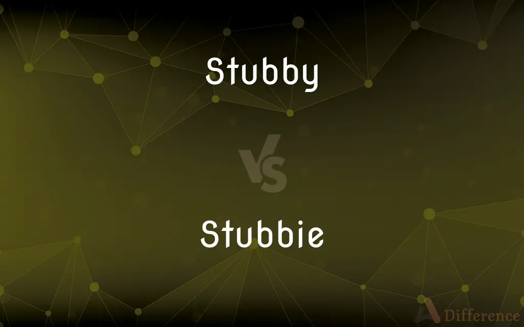 Stubby vs. Stubbie — What's the Difference?