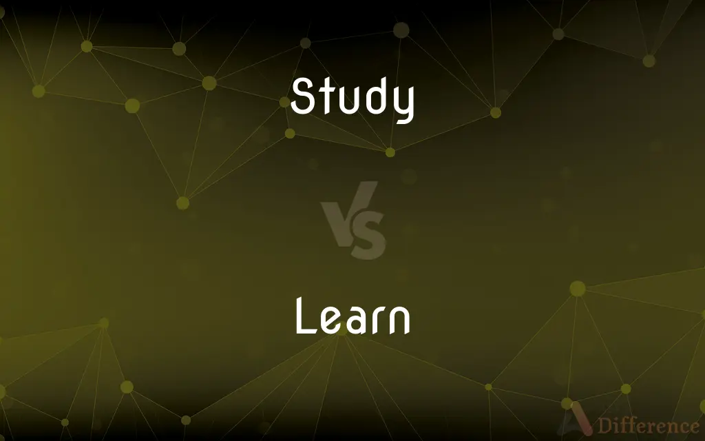 Study vs. Learn — What's the Difference?