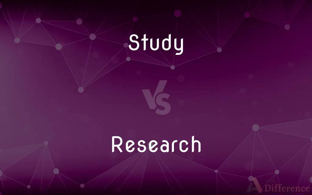 Study vs. Research — What's the Difference?