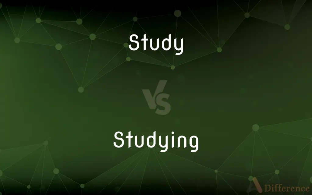 Study vs. Studying — What's the Difference?