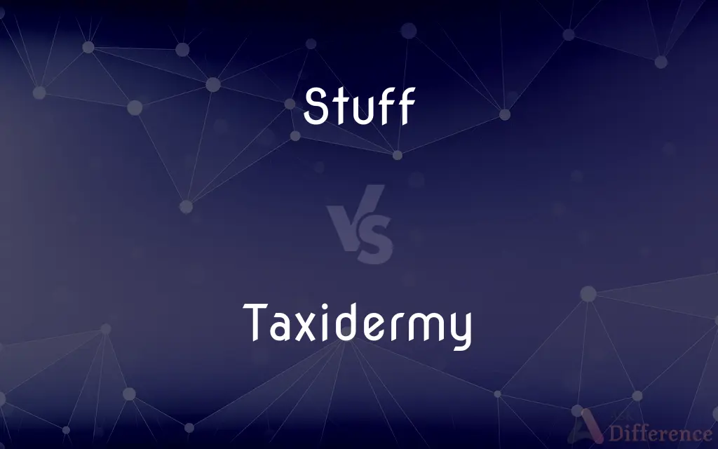 Stuff vs. Taxidermy — What's the Difference?
