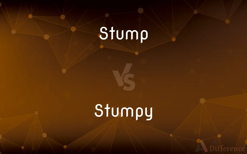 Stump vs. Stumpy — What's the Difference?