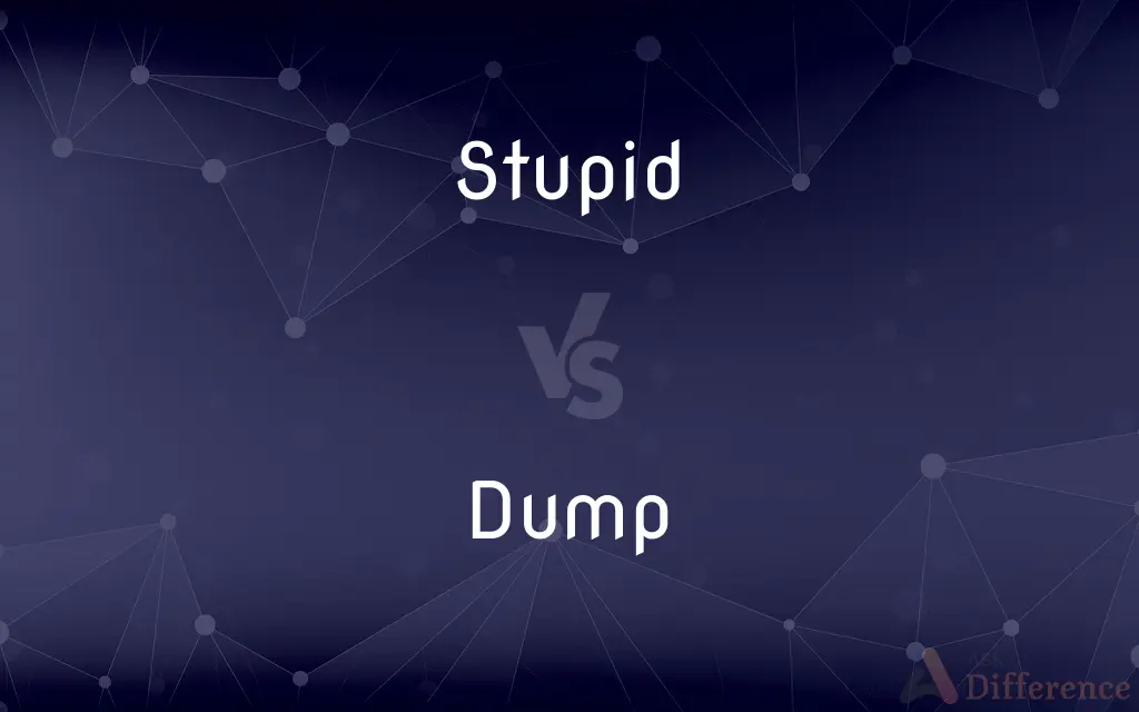 Stupid vs. Dump — What's the Difference?