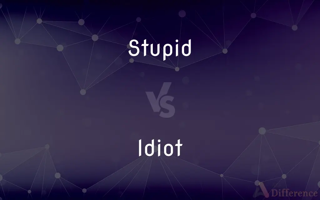 Stupid vs. Idiot — What's the Difference?