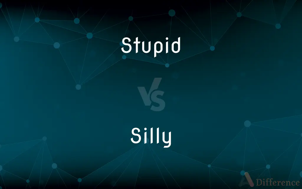 Stupid vs. Silly — What's the Difference?