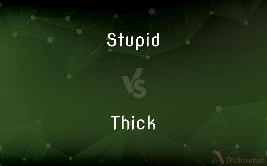 Stupid vs. Thick — What's the Difference?