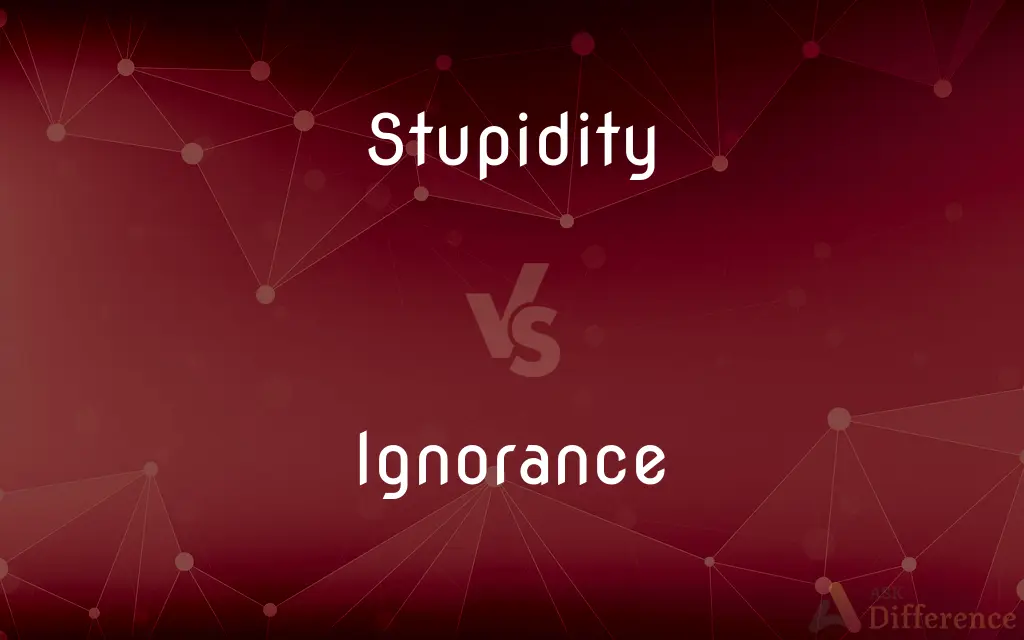 Stupidity vs. Ignorance — What's the Difference?