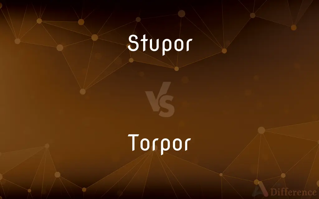 Stupor vs. Torpor — What's the Difference?