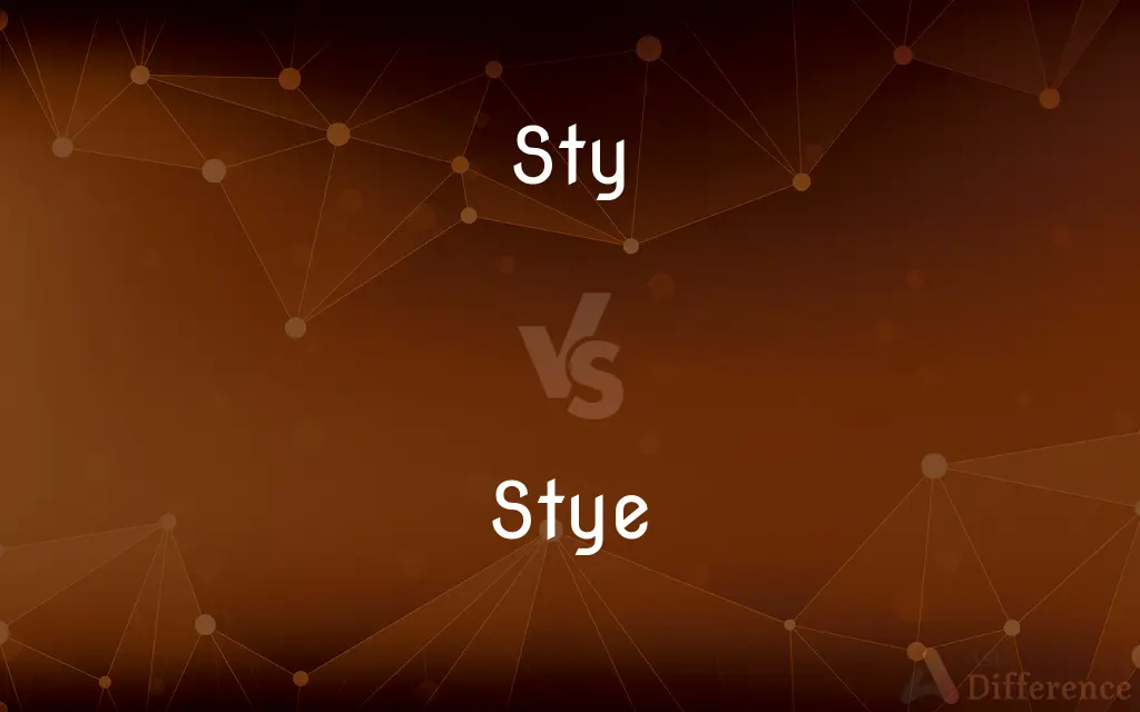 Sty vs. Stye — What's the Difference?