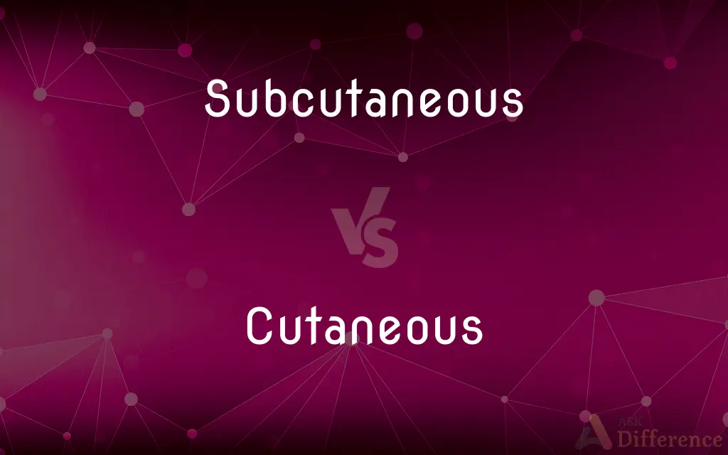Subcutaneous vs. Cutaneous — What's the Difference?