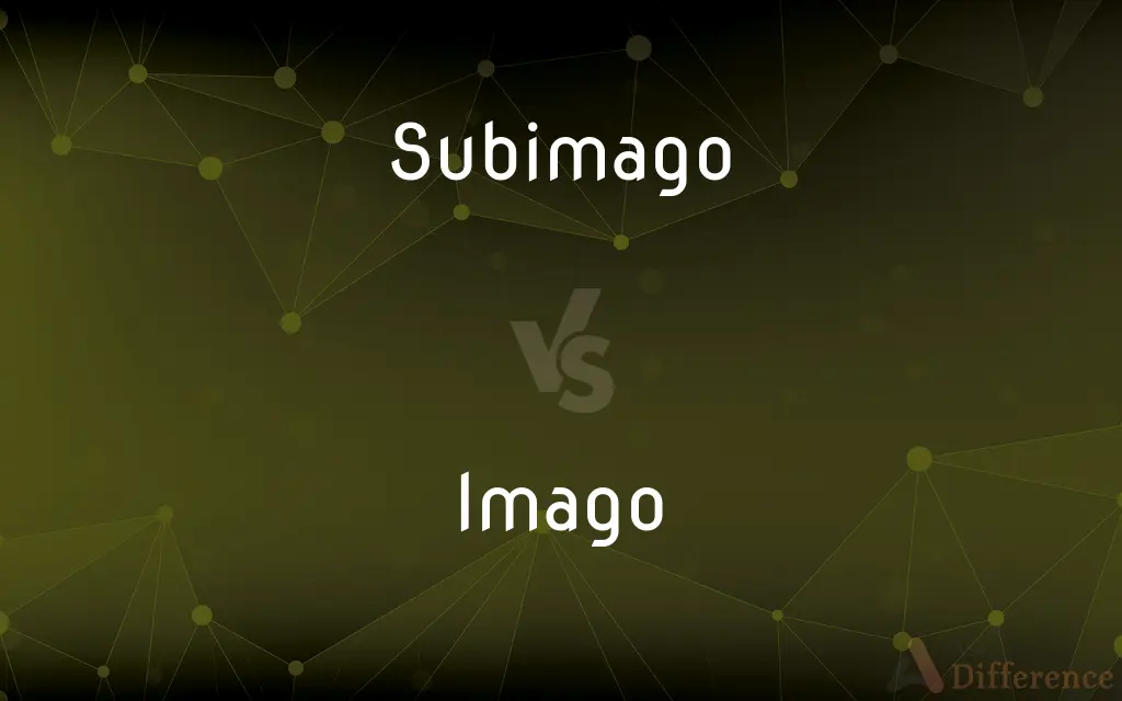 Subimago vs. Imago — What's the Difference?