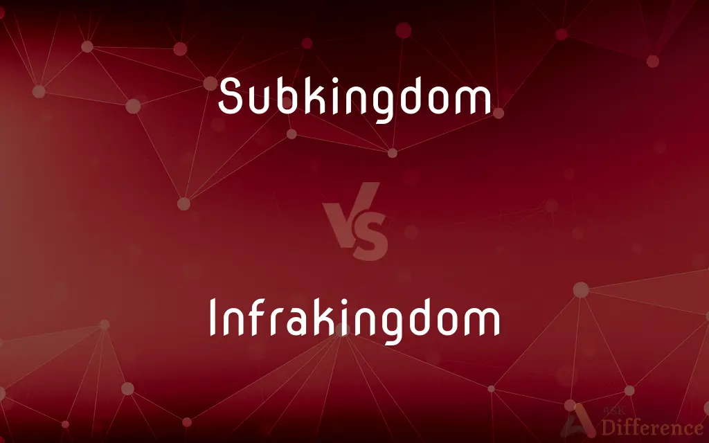 Subkingdom vs. Infrakingdom — What's the Difference?