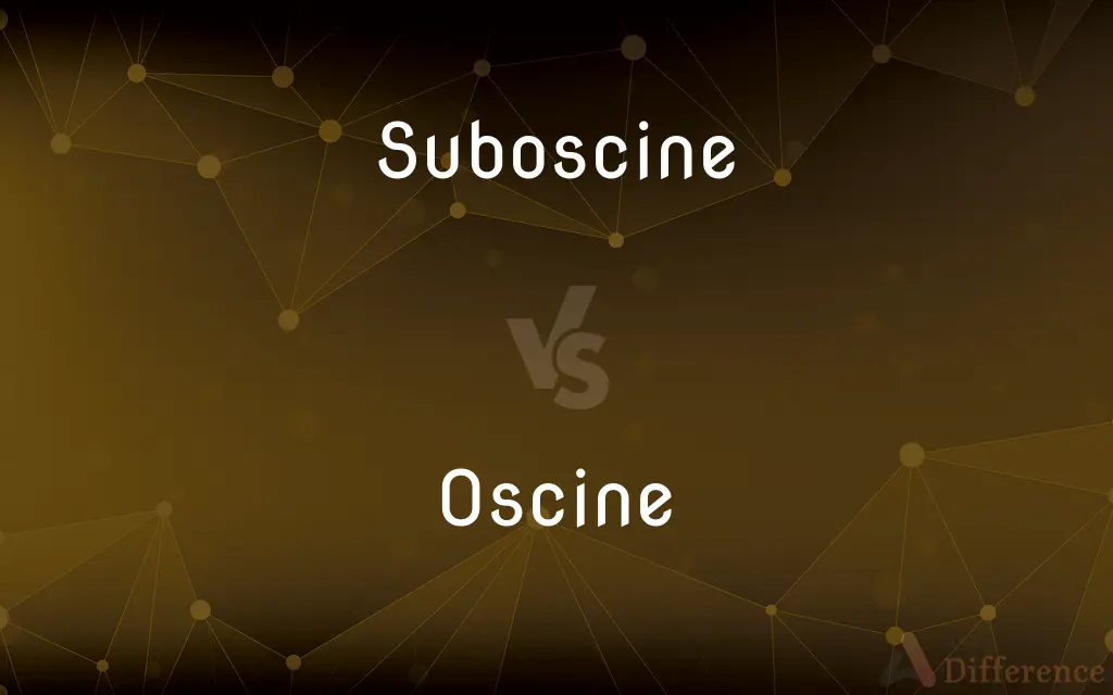 Suboscine vs. Oscine — What's the Difference?
