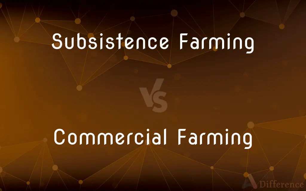 Subsistence Farming vs. Commercial Farming — What's the Difference?