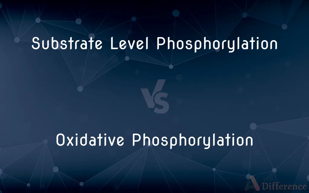 Substrate Level Phosphorylation vs. Oxidative Phosphorylation — What's the Difference?
