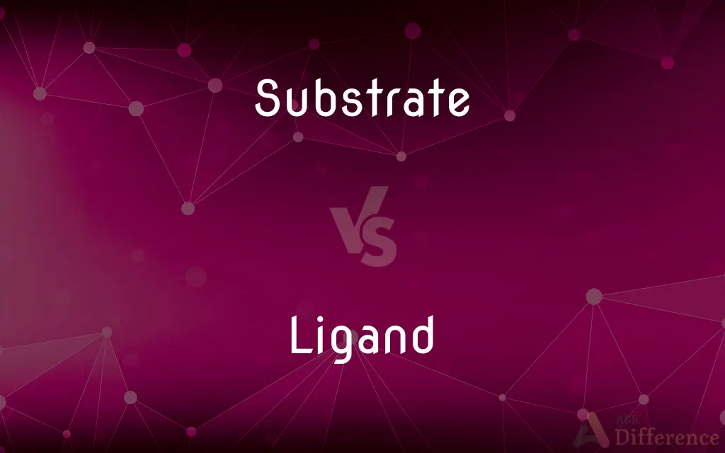 Substrate vs. Ligand — What's the Difference?